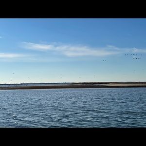 Meet your Posher, Lj